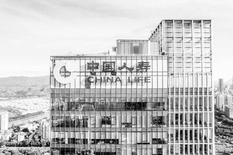 中国人寿半年总保费5250亿 投资资产7.13万亿股票基金占13.6%