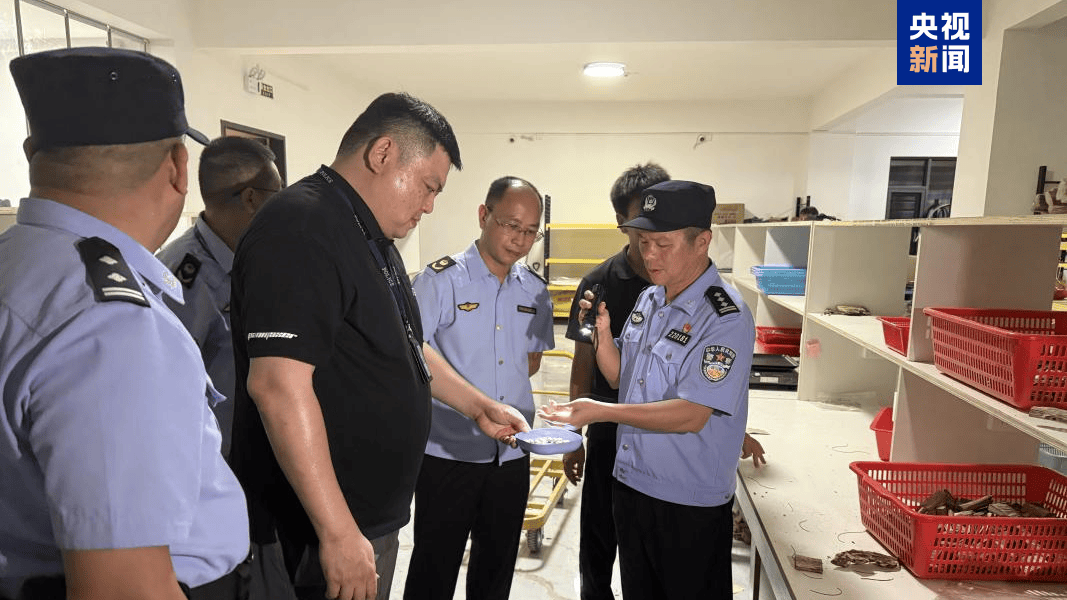 央视曝光后，广东电白连夜行动，对5家企业立案调查