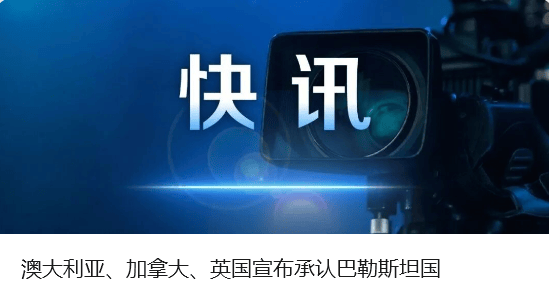 中方奉劝以色列议员：如不悬崖勒马，必将摔得粉身碎骨