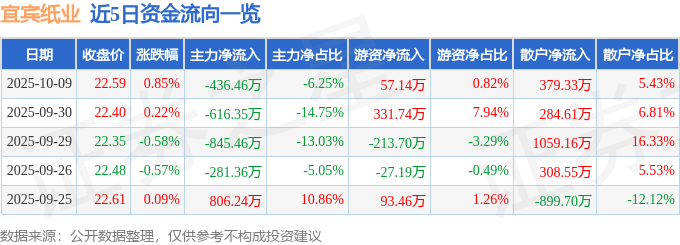 股票行情快报：宜宾纸业（600793）10月9日主力资金净卖出436.46万元