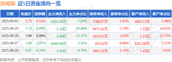 股票行情快报：汤姆猫（300459）9月1日主力资金净卖出6391.20万元