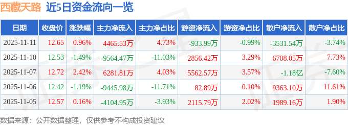 股票行情快报:西藏天路(600326)11月11日主力资金净买入4465.53万元