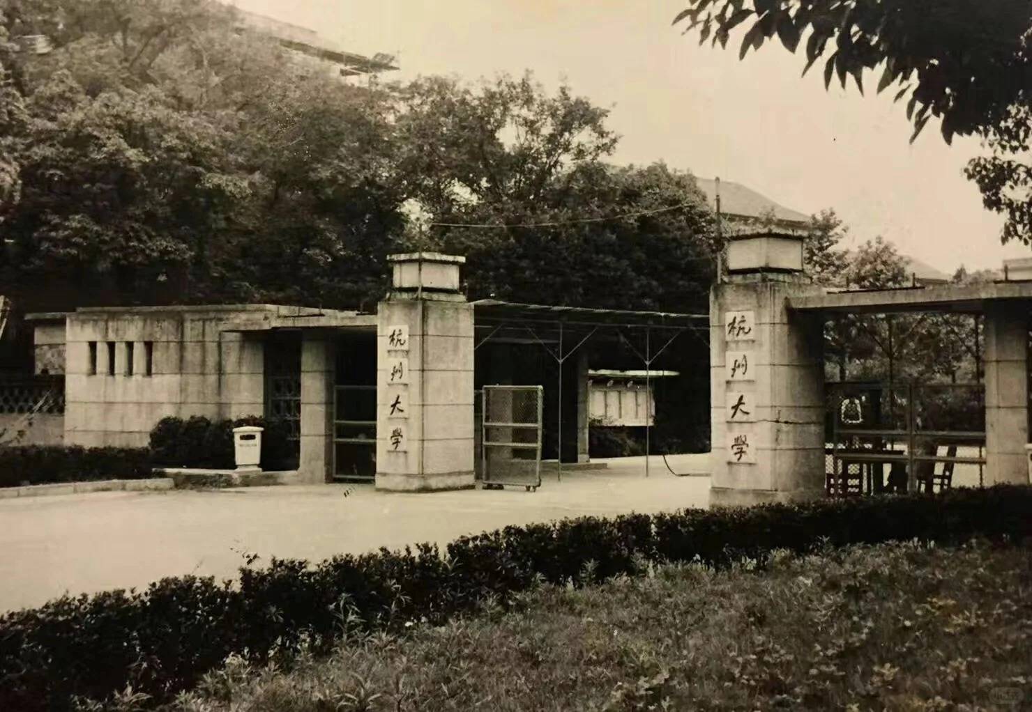 杭大和浙大的奇妙关系